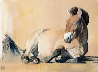 Plateau-Sonne (Przewalski), 2014